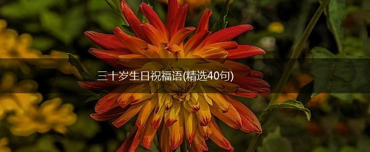 三十岁生日祝福语(精选40句),第1张