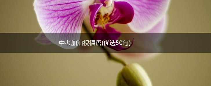 中考加油祝福语(优选50句),第1张