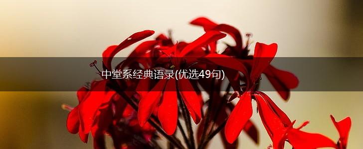 中堂系经典语录(优选49句),第1张