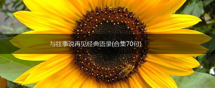 与往事说再见经典语录(合集70句),第1张