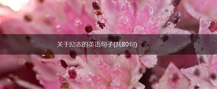 关于励志的英语句子(共80句),第1张