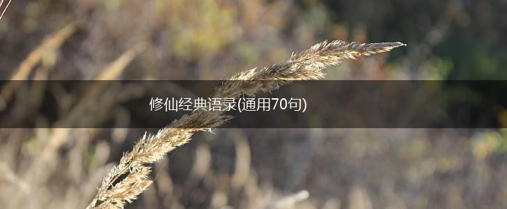 修仙经典语录(通用70句),第1张