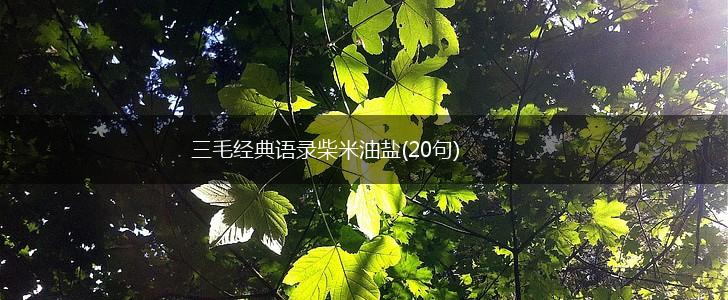 三毛经典语录柴米油盐(20句),第1张