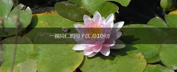 一视同仁的句子(汇总10句),第1张