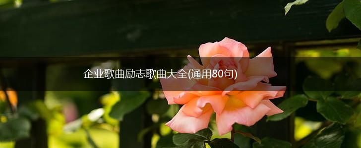 企业歌曲励志歌曲大全(通用80句),第1张
