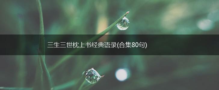 三生三世枕上书经典语录(合集80句),第1张
