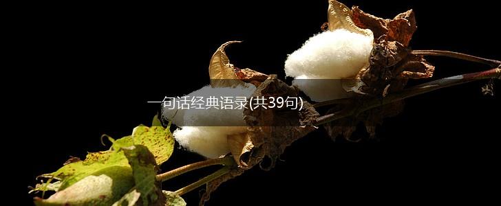 一句话经典语录(共39句),第1张