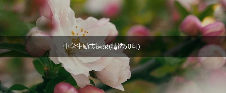 中学生励志语录(精选50句),第1张
