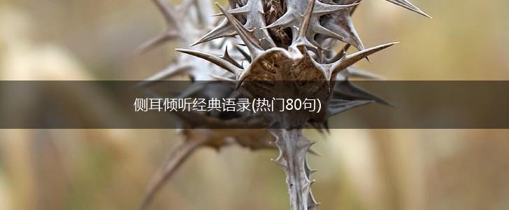 侧耳倾听经典语录(热门80句),第1张