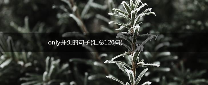 only开头的句子(汇总120句),第1张