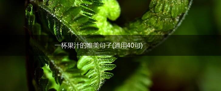 一杯果汁的唯美句子(通用40句),第1张