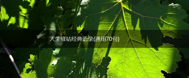 人生驿站经典语录(通用70句),第1张