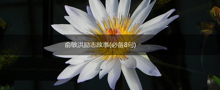 俞敏洪励志故事(必备8句),第1张