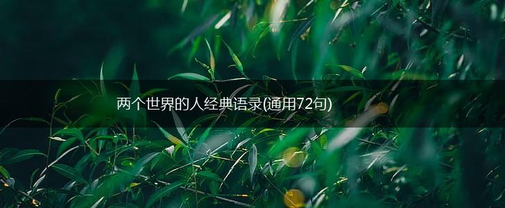 两个世界的人经典语录(通用72句),第1张