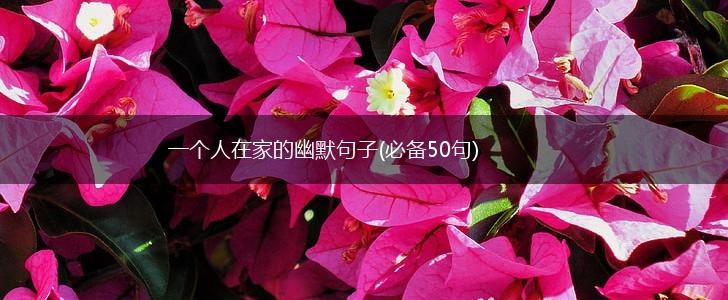 一个人在家的幽默句子(必备50句),第1张