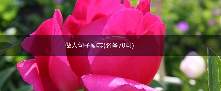 做人句子励志(必备70句),第1张