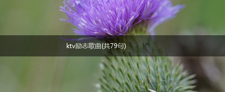 ktv励志歌曲(共79句),第1张