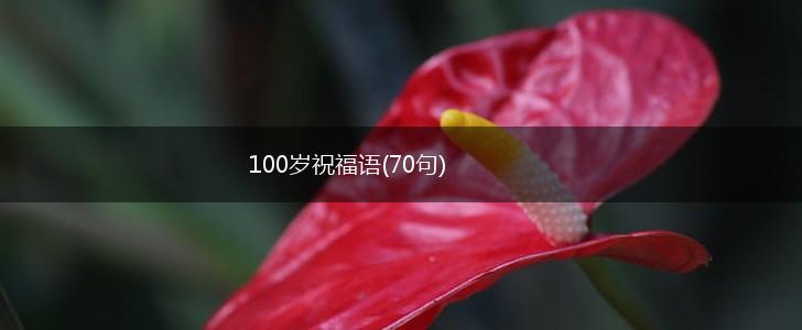 100岁祝福语(70句),第1张