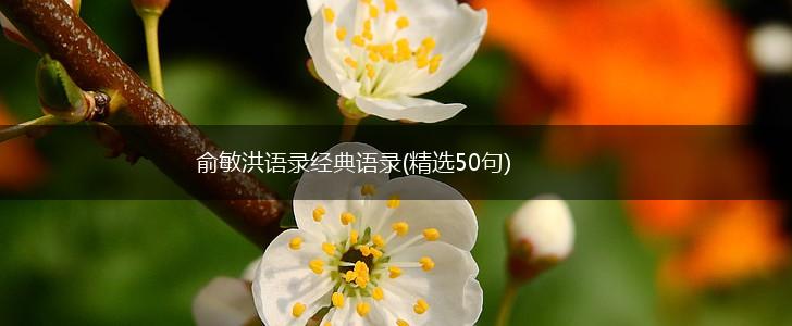 俞敏洪语录经典语录(精选50句),第1张
