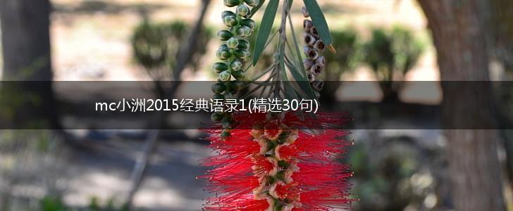mc小洲2015经典语录1(精选30句),第1张