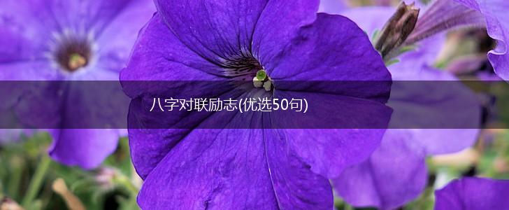 八字对联励志(优选50句),第1张