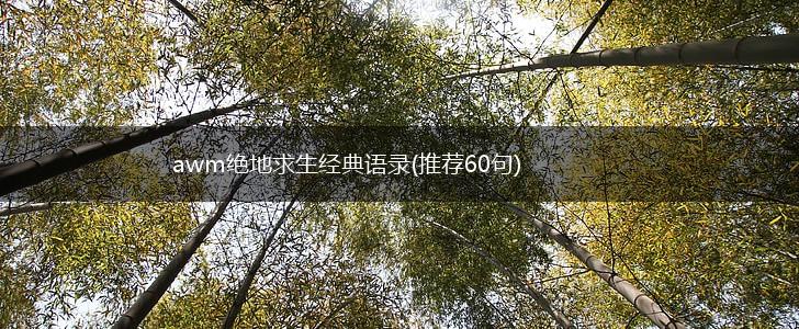 awm绝地求生经典语录(推荐60句),第1张