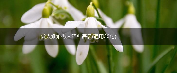 做人难难做人经典语录(通用20句),第1张