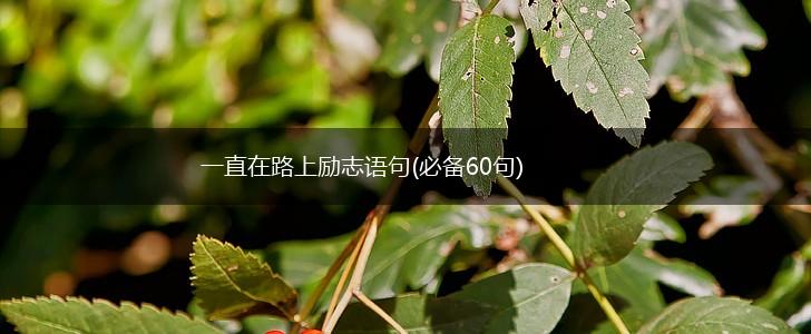 一直在路上励志语句(必备60句),第1张