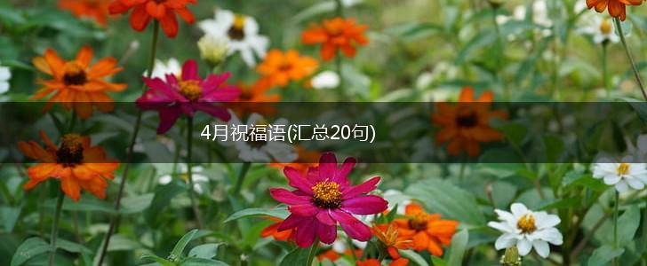 4月祝福语(汇总20句),第1张