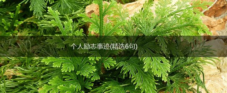 个人励志事迹(精选6句),第1张