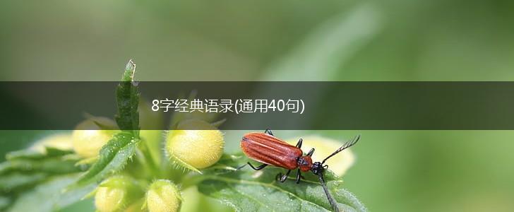 8字经典语录(通用40句),第1张