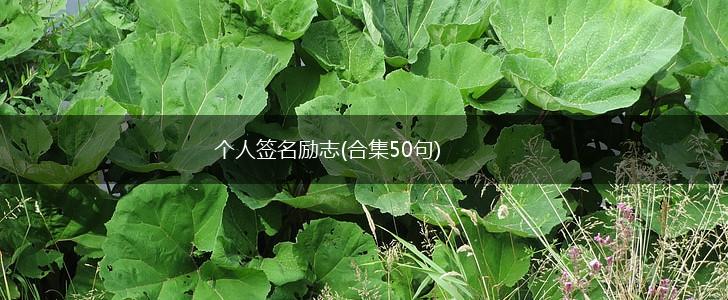 个人签名励志(合集50句),第1张