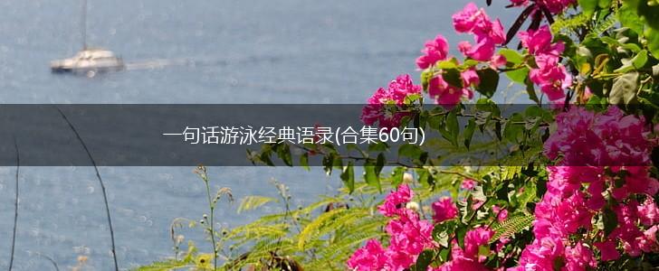 一句话游泳经典语录(合集60句),第1张