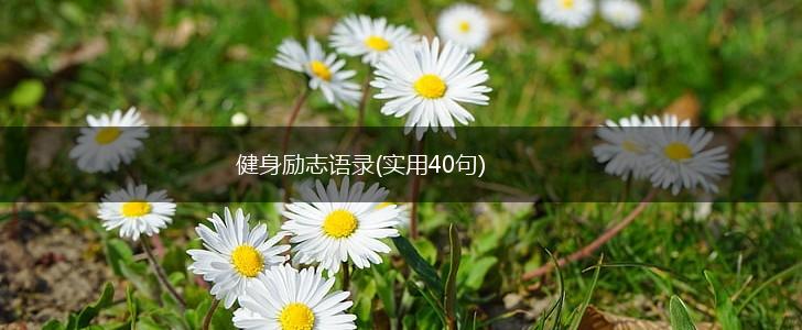 健身励志语录(实用40句),第1张