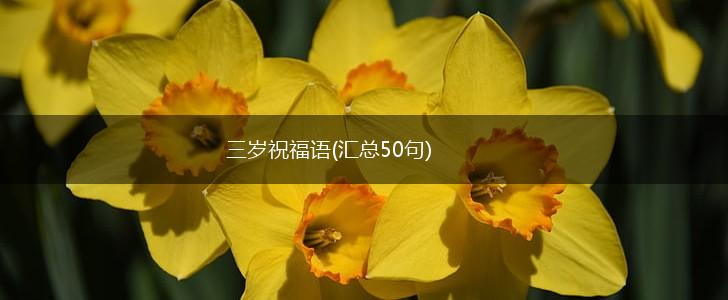 三岁祝福语(汇总50句),第1张