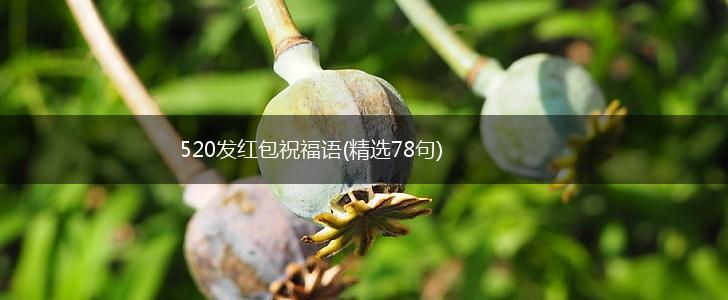 520发红包祝福语(精选78句),第1张