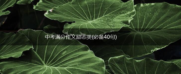 中考满分作文励志类(必备40句),第1张