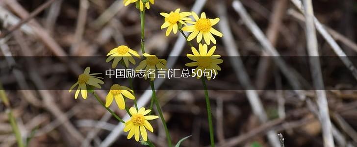 中国励志名言(汇总50句),第1张