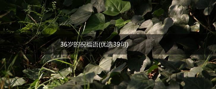 36岁的祝福语(优选39句),第1张