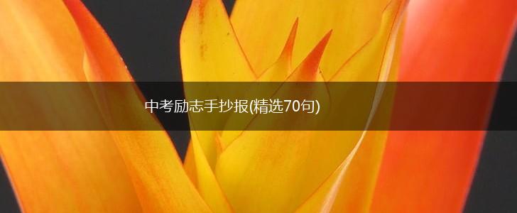 中考励志手抄报(精选70句),第1张
