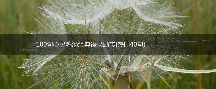 100句心灵鸡汤经典语录励志(热门40句),第1张