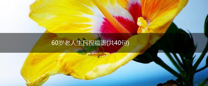 60岁老人生日祝福语(共40句),第1张