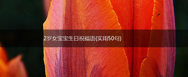 2岁女宝宝生日祝福语(实用50句),第1张