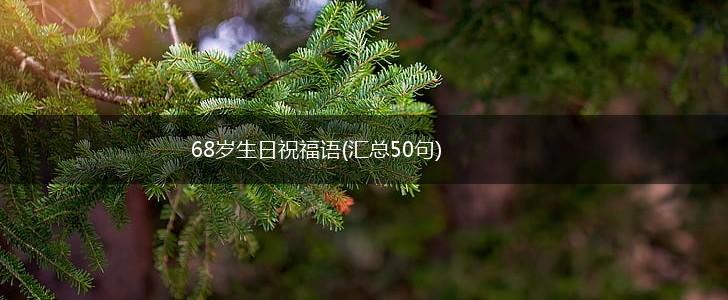 68岁生日祝福语(汇总50句),第1张
