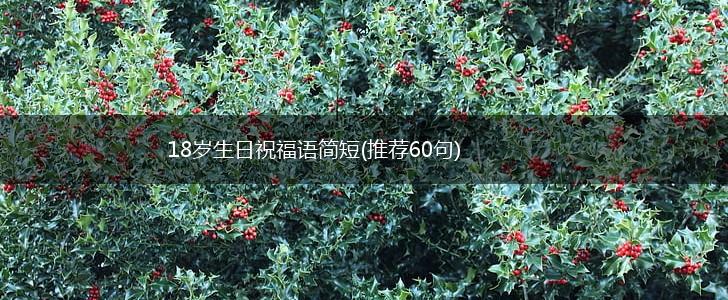 18岁生日祝福语简短(推荐60句),第1张