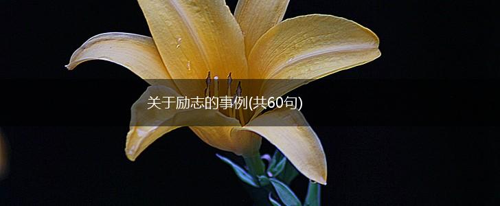 关于励志的事例(共60句),第1张