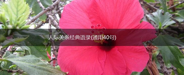 人际关系经典语录(通用40句),第1张