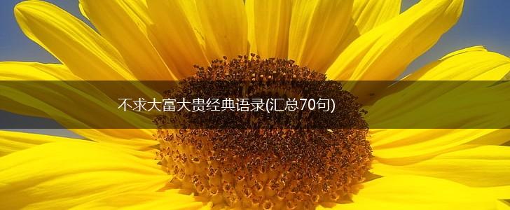 不求大富大贵经典语录(汇总70句),第1张
