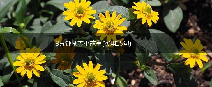 3分钟励志小故事(实用15句),第1张