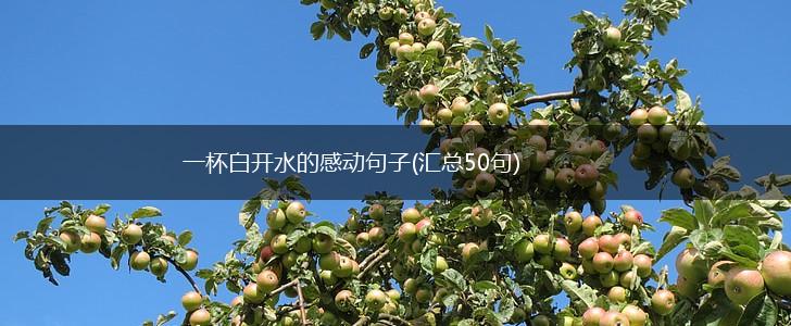 一杯白开水的感动句子(汇总50句),第1张